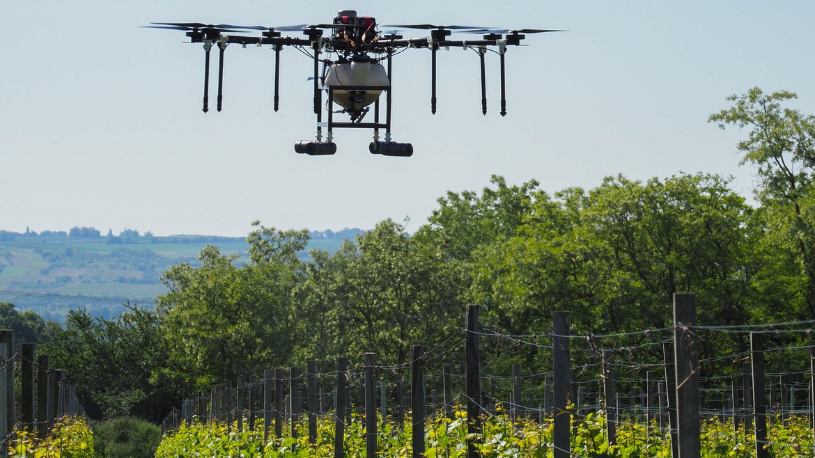 Drohne im Flug über Weinreben.