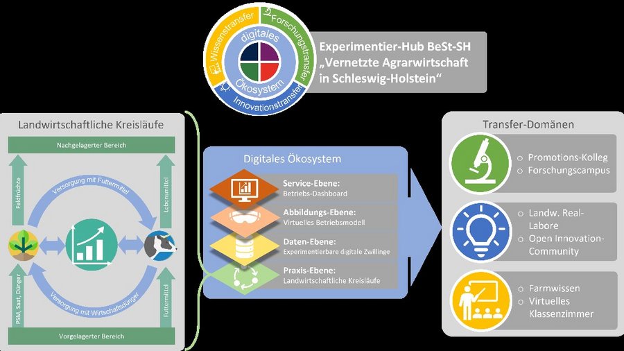 Graphische Darstellung der Projektinhalte des Experimentierfeldes BeSt-SH. Zum Beispiel Darstellung landwirtschaftlicher Kreisläufe in einem digitalen Ökosystem.
